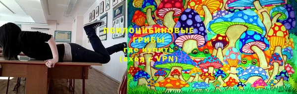 марки nbome Ельня