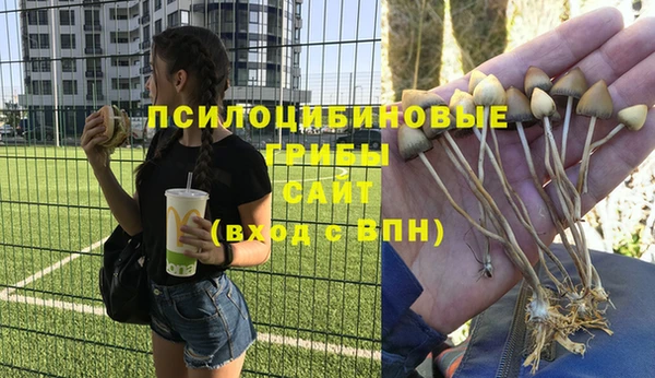 тгк Елабуга