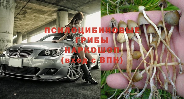 марки nbome Ельня